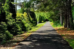 1685 Njsh Route 45, Harrison Township, NJ 08062 - Photo 35