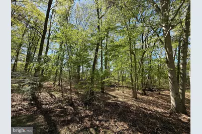 7 Laurel Drive, Harrison Township, NJ 08062 - Photo 11