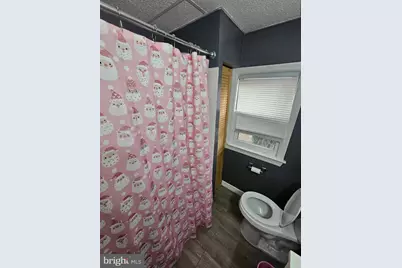 128 Wilmer Street, Glassboro, NJ 08028 - Photo 21