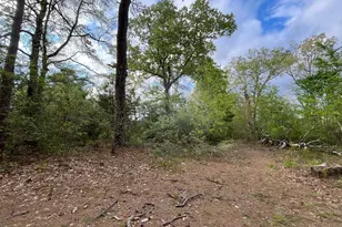 2738 Jackson Rd, Monroe Township, NJ 08094 - Photo 7