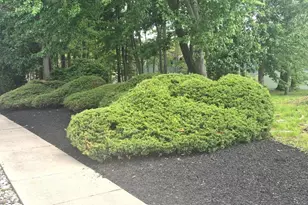 1003 Baywood Dr, Monroe Township, NJ 08094 - Photo 21