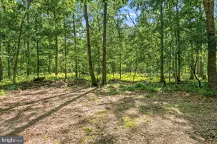 1930 Grant Ave, Monroe Township, NJ 08094 - Photo 49