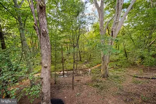 231 Porches Mill Rd, Swedesboro, NJ 08085 - Photo 59