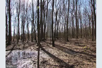 505 S Pennsville Auburn Road, Carneys Point, NJ 08069 - Photo 15