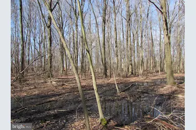 505 S Pennsville Auburn Road, Carneys Point, NJ 08069 - Photo 17