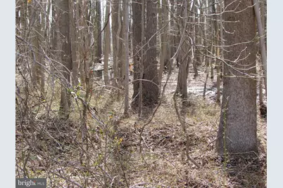 505 S Pennsville Auburn Road, Carneys Point, NJ 08069 - Photo 27