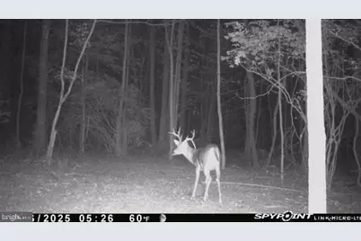 210 Penns Grove Auburn Road, Penns Grove, NJ 08069 - Photo 15