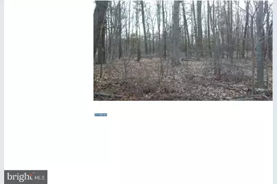 0 Quinton Marlboro Road, Bridgeton, NJ 08302 - Photo 11
