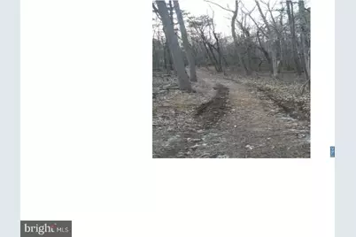 0 Quinton Marlboro Road, Bridgeton, NJ 08302 - Photo 3