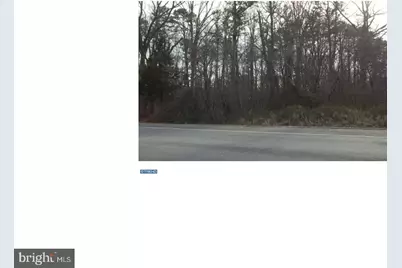 0 Quinton Marlboro Road, Bridgeton, NJ 08302 - Photo 5