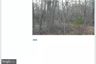 0 Quinton Marlboro Road, Bridgeton, NJ 08302 - Photo 7