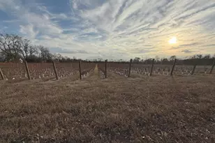 812 Garden Rd, Elmer, NJ 08318 - Photo 3