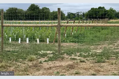 812 Garden Road, Elmer, NJ 08318 - Photo 11