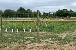 812 Garden Rd, Elmer, NJ 08318 - Photo 11