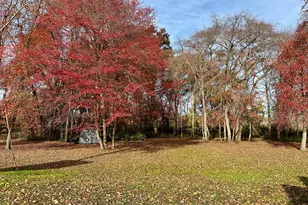 40 Morning Side Dr, Salem, NJ 08079 - Photo 23