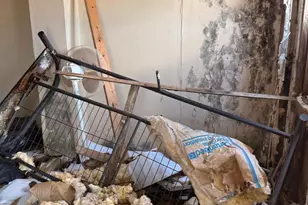 101 Penn St, Penns Grove, NJ 08069 - Photo 7