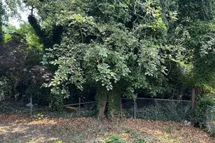 69 Carpenter St, Salem, NJ 08079 - Photo 25