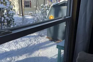 248 Route 40, Newfield, NJ 08344 - Photo 33