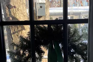 248 Route 40, Newfield, NJ 08344 - Photo 35