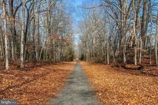 29 Three Bridge Rd, Monroeville, NJ 08343 - Photo 35