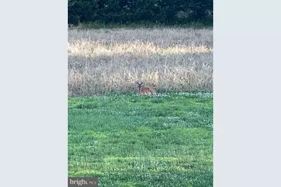 29 Three Bridge Road, Monroeville, NJ 08343 - Photo 51