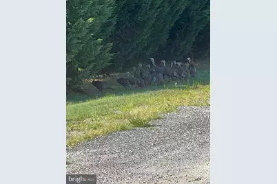 29 Three Bridge Road, Monroeville, NJ 08343 - Photo 49