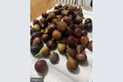 81 Harvard Road, Pennsville, NJ 08070 - Photo 31