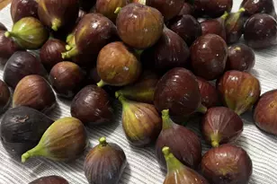 81 Harvard Rd, Pennsville, NJ 08070 - Photo 31