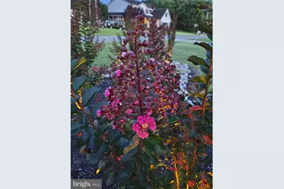 81 Harvard Road, Pennsville, NJ 08070 - Photo 29