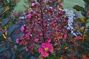 81 Harvard Rd, Pennsville, NJ 08070 - Photo 29