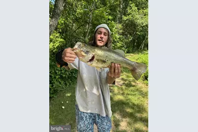 133 Avis Mill Road, Pilesgrove, NJ 08098 - Photo 53