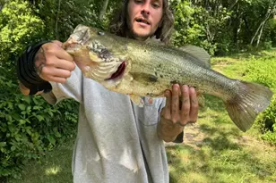 133 Avis Mill Rd, Pilesgrove, NJ 08098 - Photo 53