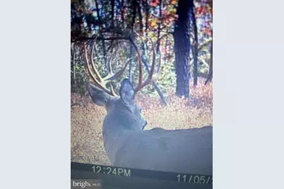 L9, 26, 28, 29, 33 Burden Hill, Salem, NJ 08079 - Photo 7