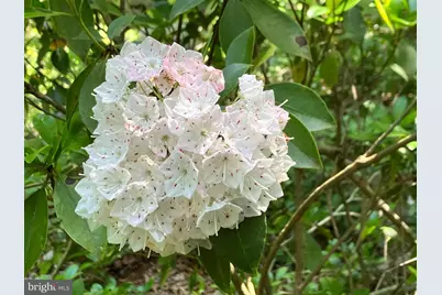 L9, 26, 28, 29, 33 Burden Hill, Salem, NJ 08079 - Photo 9