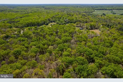 625 Porchtown Road, Pittsgrove, NJ 08318 - Photo 31