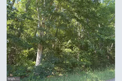 0 Mill Pond Road, Hancocks Bridge, NJ 08038 - Photo 3
