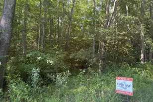 0 Mill Pond Rd, Hancocks Bridge, NJ 08038 - Photo 1
