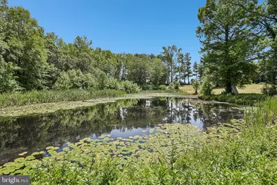 204 Alloway Aldine Road, Woodstown, NJ 08098 - Photo 23