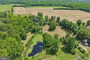 204 Alloway Aldine Rd, Woodstown, NJ 08098 - Photo 13