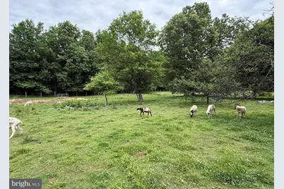 204 Alloway Aldine Road, Woodstown, NJ 08098 - Photo 17