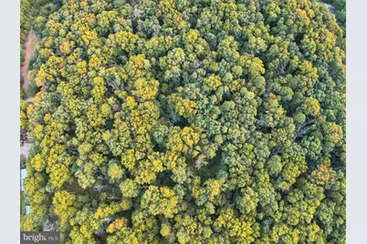 0 Harding Highway, Elmer, NJ 08318 - Photo 11