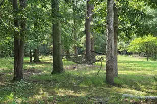 69 Cobbs Mill Rd, Bridgeton, NJ 08302 - Photo 7