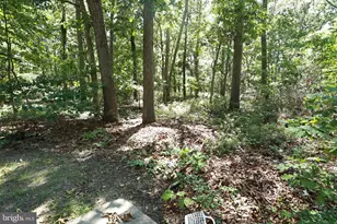 453 Langley Rd, Pittsgrove, NJ 08318 - Photo 49