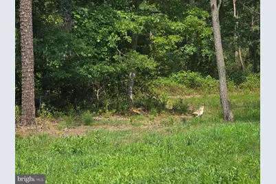 450 Almond Road, Pittsgrove, NJ 08318 - Photo 5