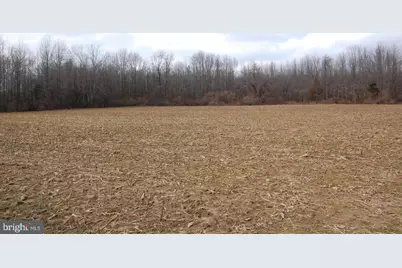 89 Pennsville Auburn Rd & Stumpy Lane, Pedricktown, NJ 08067 - Photo 19