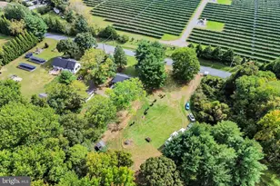 365 Mannington Yorketown Rd, Pilesgrove, NJ 08098 - Photo 13