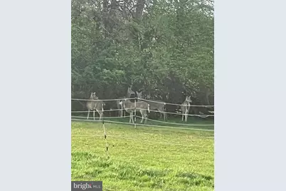 2226 Harney Road, Littlestown, PA 17340 - Photo 21