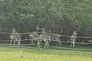 2226 Harney Rd, Littlestown, PA 17340 - Photo 21