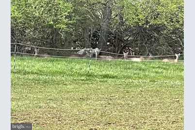 2226 Harney Road, Littlestown, PA 17340 - Photo 129