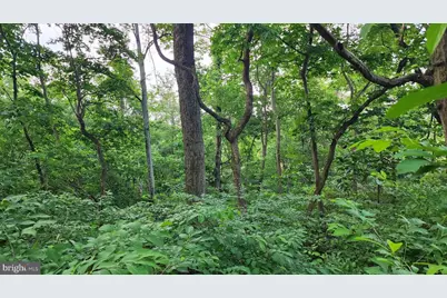 50 Oak Ridge Trail, Fairfield, PA 17320 - Photo 3